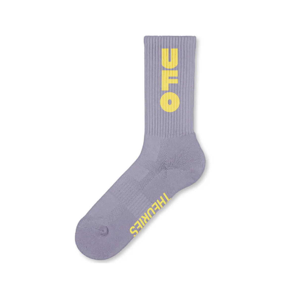 Theories UFO sock